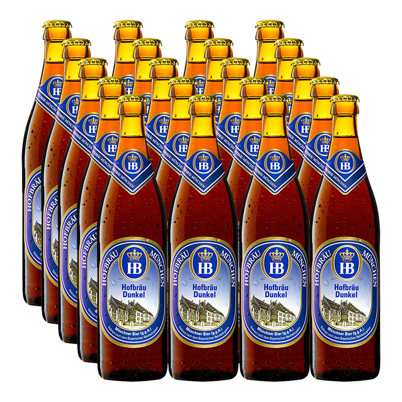 Hofbrau Dunkel 5.5% 500ml - 20 Pack
